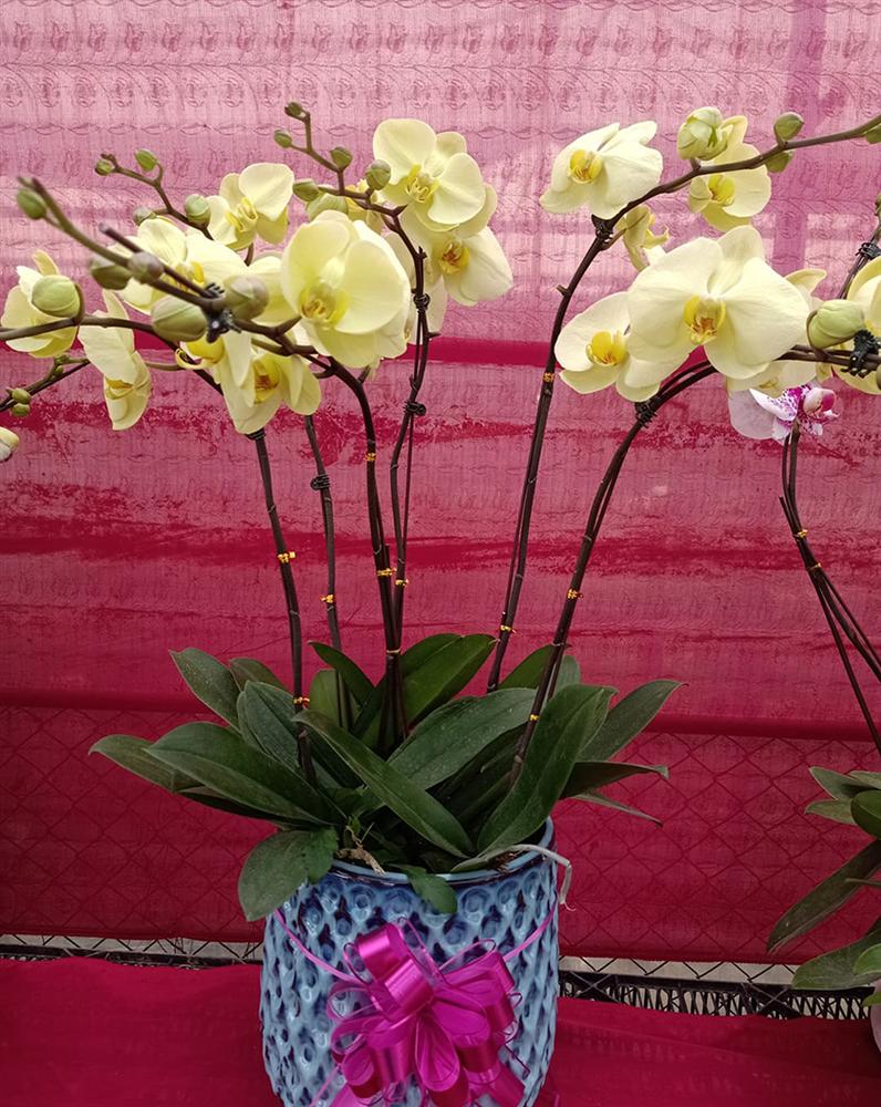 Đến hẹn lại lên, hai chàng kỹ sư đút túi hơn 100 triệu ăn Tết-7