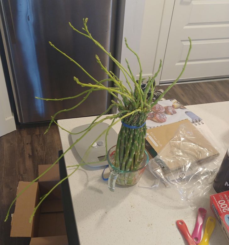 8 cách giữ thực phẩm tươi ngon trong nhiều tuần mà không cần dùng đến tủ lạnh-6