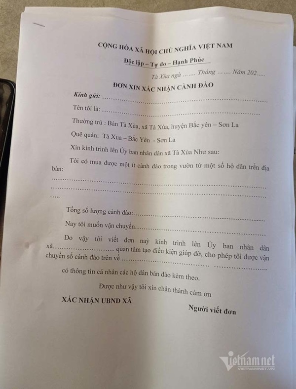 Đào rừng tê liệt: Dân buôn nằm im, nông dân bế tắc lo mất Tết-1