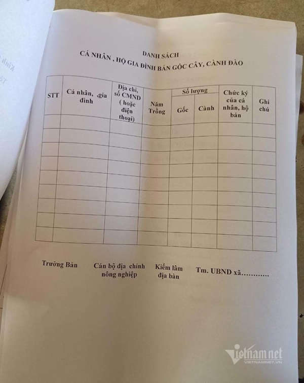 Đào rừng tê liệt: Dân buôn nằm im, nông dân bế tắc lo mất Tết-2