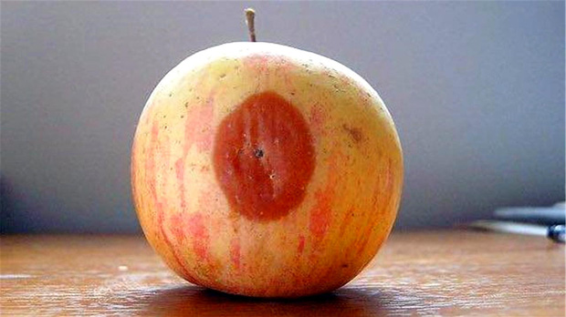 Chàng trai 33 tuổi không thuốc lá, rượu bia nhưng mắc ung thư gan giai đoạn cuối chỉ vì quá... tiết kiệm-2