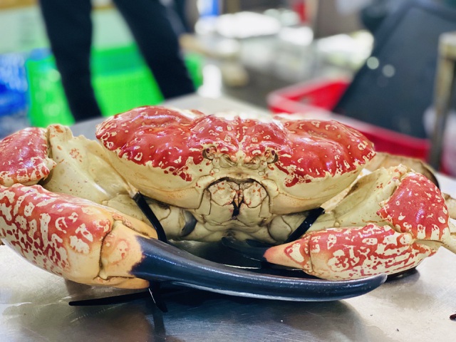 Cua biển khổng lồ giá chục triệu đồng/con, đại gia không tiếc mua về ăn-3