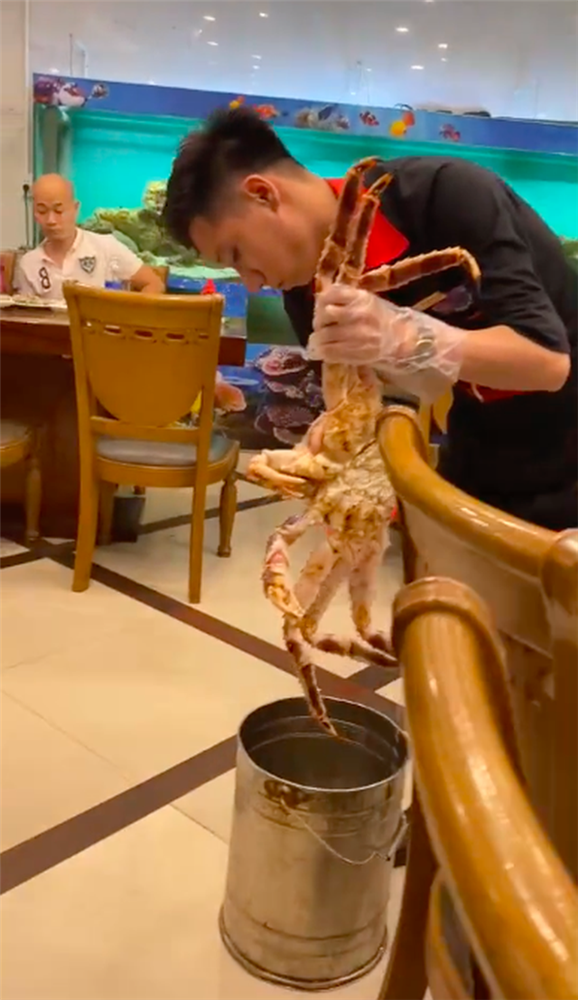 Bát tiết canh cua hoàng đế có giá tới 8 triệu đồng khiến dân mạng tranh cãi: Ăn mặn chát như nước biển chứ có gì ngon?-5