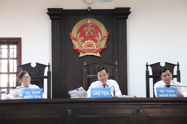 Vụ thai phụ 18 tuổi bị đánh đập dã man đến mất con: Tiếp tục trả hồ sơ để làm rõ vai trò của người mẹ khi mang thai nhi đi vứt-1