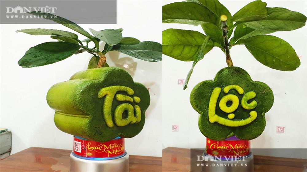 Lạ ở Bến Tre: Trái bưởi in hình hoa mai Tài Lộc phát giá 1 triệu đồng-1