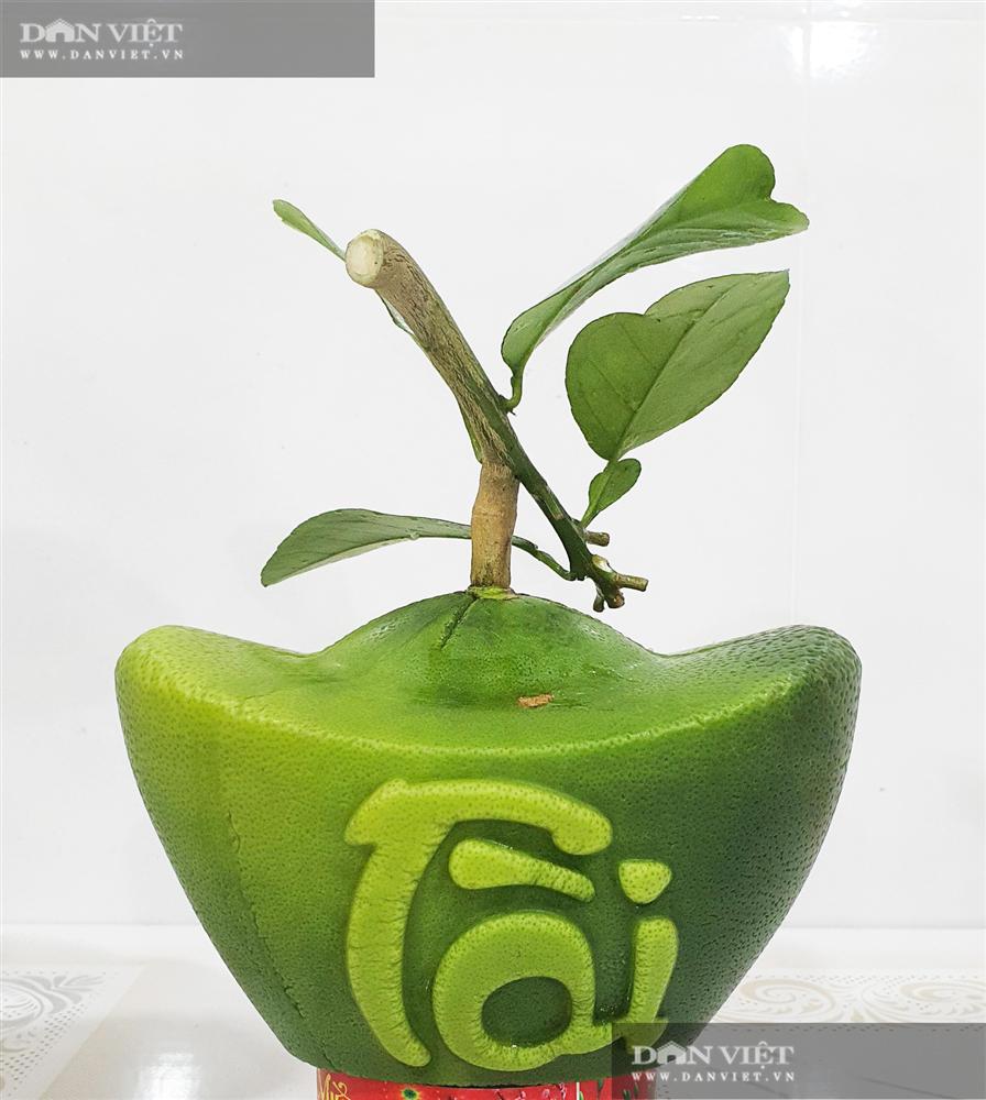 Lạ ở Bến Tre: Trái bưởi in hình hoa mai Tài Lộc phát giá 1 triệu đồng-2