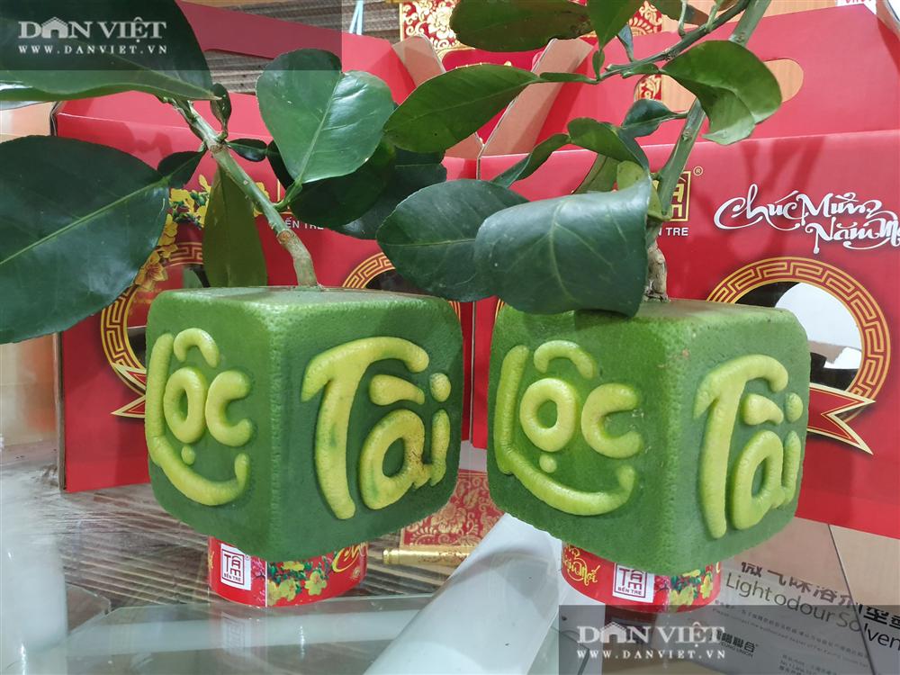 Lạ ở Bến Tre: Trái bưởi in hình hoa mai Tài Lộc phát giá 1 triệu đồng-4