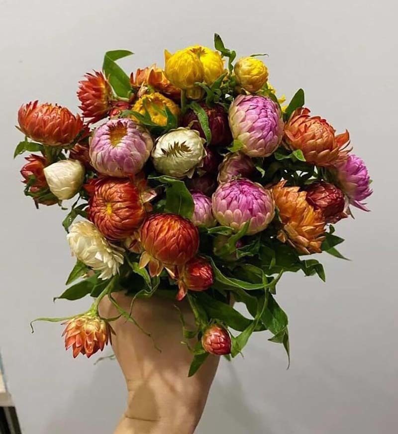 Hoa cúc lạ chết khô vẫn không tàn: Hàng Tàu chơi Tết Tân Sửu-1