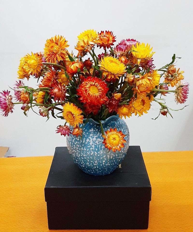 Hoa cúc lạ chết khô vẫn không tàn: Hàng Tàu chơi Tết Tân Sửu-2