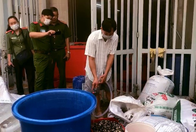 Đột kích cơ sở mỗi ngày tuồn hàng tấn ốc ngậm hóa chất ra thị trường-1