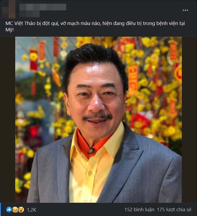 Bà xã MC hải ngoại Việt Thảo phản hồi tin đồn chồng bị đột quỵ, vỡ mạch máu não-1