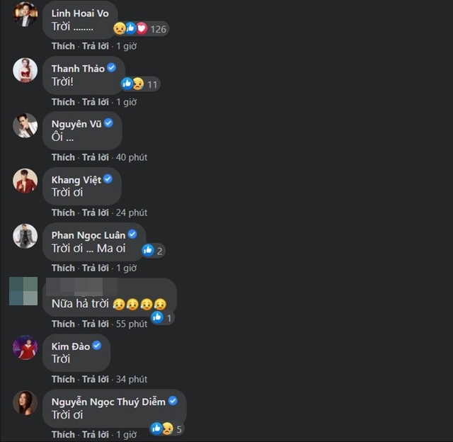 Bà xã MC hải ngoại Việt Thảo phản hồi tin đồn chồng bị đột quỵ, vỡ mạch máu não-2