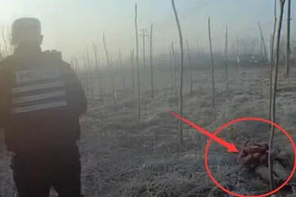 Choáng toàn tập với độ giàu có và cách tiêu tiền của những Hoàng gia giàu nhất thế giới: Hóa ra sở hữu siêu xe, du thuyền mới chỉ là mức cơ bản-16