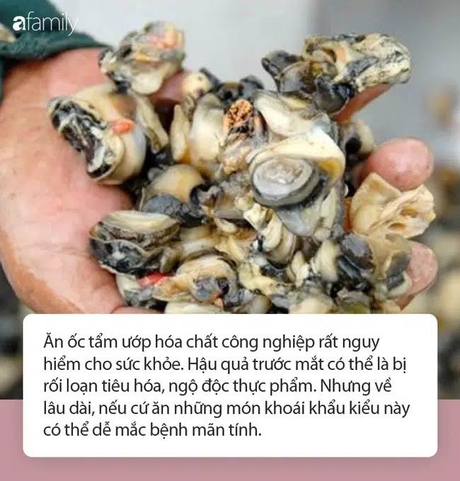 Cận Tết, 1.3 tấn thịt ốc ngâm hóa chất bị phanh phui: Chuyên gia khuyến cáo những điều cực QUAN TRỌNG khi ăn ốc-2