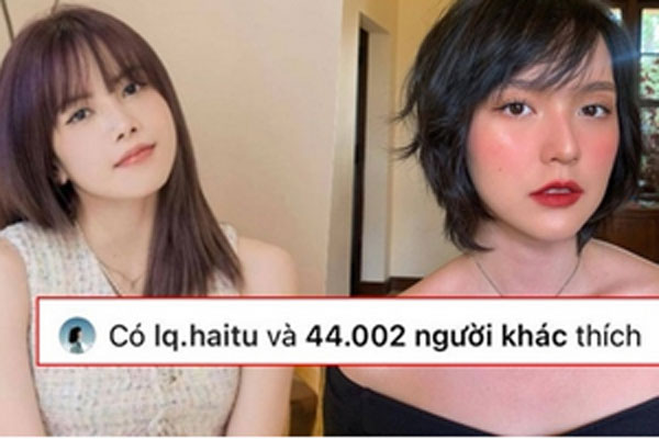 Cứ tưởng trà xanh trồng đâu xa, hoá ra lại ở ngay nơi các anh làm việc-3