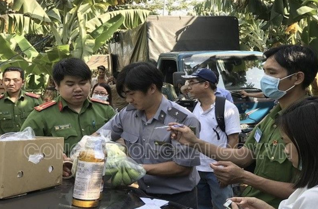 Phát hiện hơn 20 ngàn kg chuối ngâm nước, phun thuốc bảo quản không rõ nguồn gốc trước khi đưa đi tiêu thụ dịp Tết-2