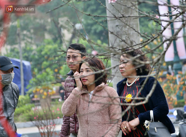 Hà Nội: Những cành đào rừng Sơn La được dán tem đầu tiên rủng rỉnh” xuống phố chờ khách mua về chơi Tết-17