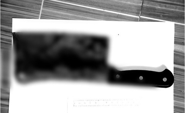 Uất nghẹn vì lời gạ gẫm bị từ chối, cụ bà 79 tuổi đánh trai trẻ đến chết rồi chôn trong vườn, sau đó tội ác xưa cũng bị phanh phui-2