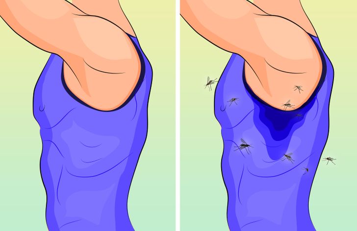 Trời nồm ẩm nhiều muỗi, bạn có để ý tại sao chúng chỉ vo ve gần tai và làm cách nào để phòng tránh nếu lười buông màn?-3