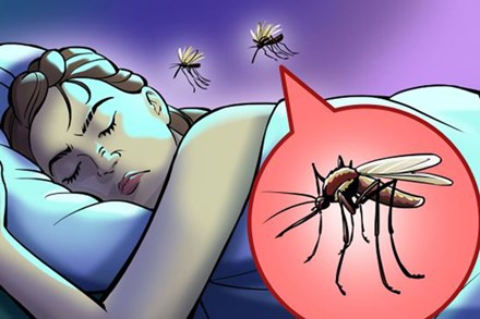 Trời nồm ẩm nhiều muỗi, bạn có để ý tại sao chúng chỉ vo ve gần tai và làm cách nào để phòng tránh nếu lười buông màn?