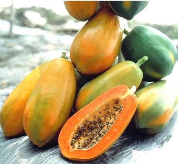 Cách bày mâm ngũ quả ngày Tết: Làm sao để chọn được hoa quả đẹp mắt dâng lên tổ tiên?-11