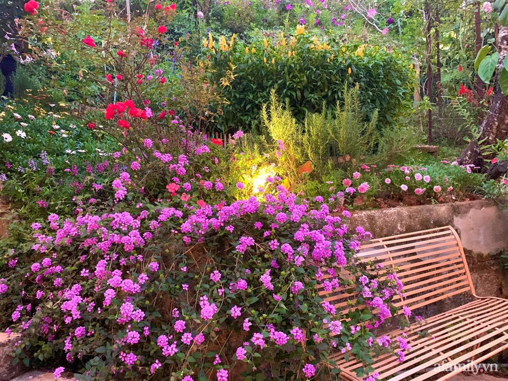 Ngôi nhà nhỏ yên bình sở hữu khu vườn đẹp như xứ sở thần tiên giữa lưng chừng đồi ở Đà Lạt-11