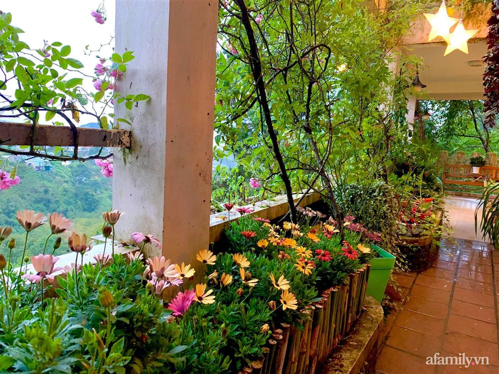 Ngôi nhà nhỏ yên bình sở hữu khu vườn đẹp như xứ sở thần tiên giữa lưng chừng đồi ở Đà Lạt-12