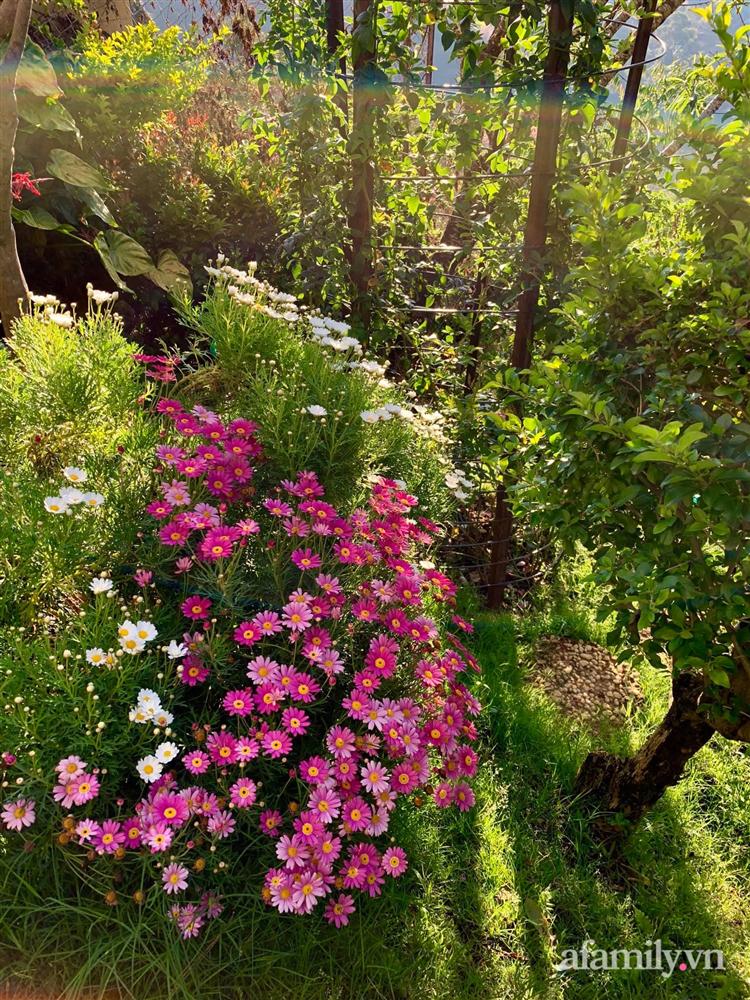 Ngôi nhà nhỏ yên bình sở hữu khu vườn đẹp như xứ sở thần tiên giữa lưng chừng đồi ở Đà Lạt-15