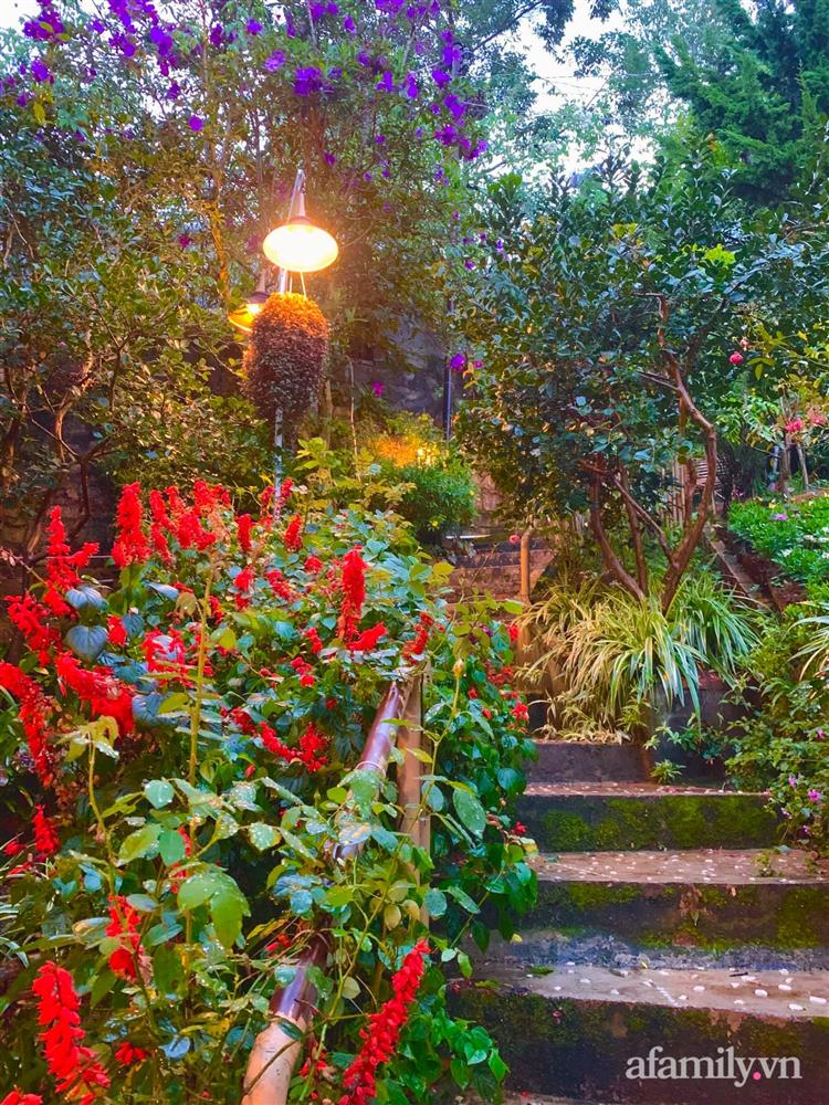 Ngôi nhà nhỏ yên bình sở hữu khu vườn đẹp như xứ sở thần tiên giữa lưng chừng đồi ở Đà Lạt-16