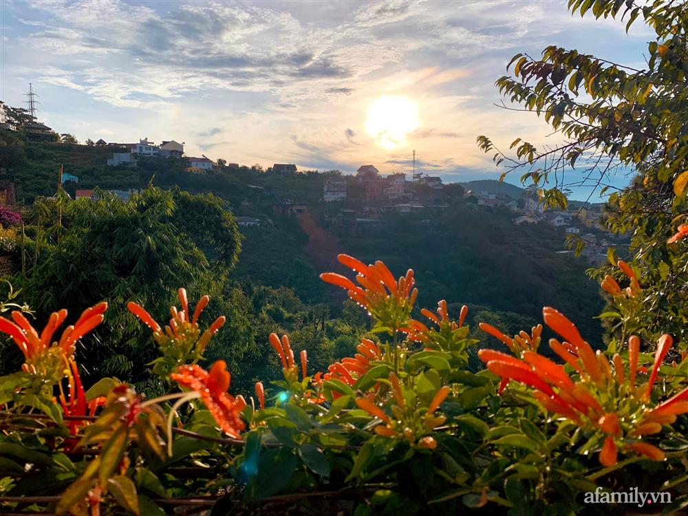 Ngôi nhà nhỏ yên bình sở hữu khu vườn đẹp như xứ sở thần tiên giữa lưng chừng đồi ở Đà Lạt-21