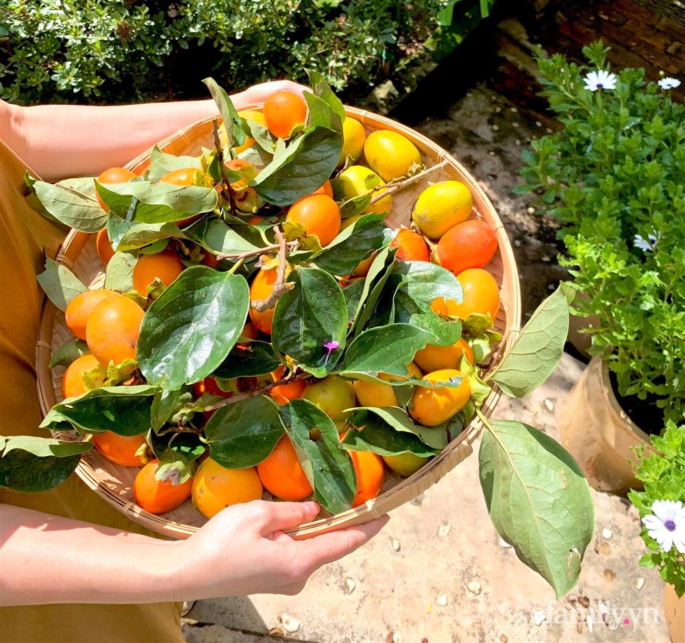 Ngôi nhà nhỏ yên bình sở hữu khu vườn đẹp như xứ sở thần tiên giữa lưng chừng đồi ở Đà Lạt-22