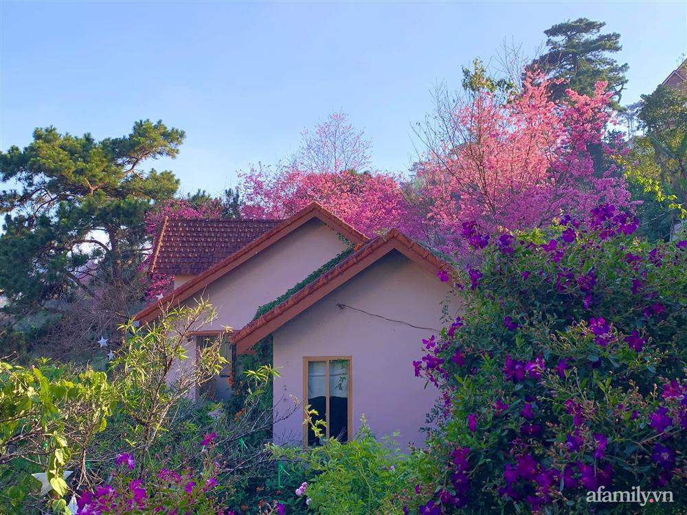 Ngôi nhà nhỏ yên bình sở hữu khu vườn đẹp như xứ sở thần tiên giữa lưng chừng đồi ở Đà Lạt-23