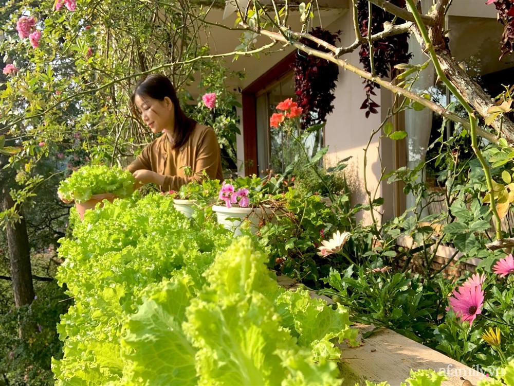 Ngôi nhà nhỏ yên bình sở hữu khu vườn đẹp như xứ sở thần tiên giữa lưng chừng đồi ở Đà Lạt-28