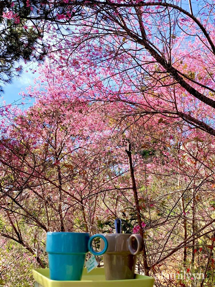 Ngôi nhà nhỏ yên bình sở hữu khu vườn đẹp như xứ sở thần tiên giữa lưng chừng đồi ở Đà Lạt-30