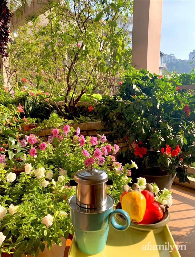 Ngôi nhà nhỏ yên bình sở hữu khu vườn đẹp như xứ sở thần tiên giữa lưng chừng đồi ở Đà Lạt-31