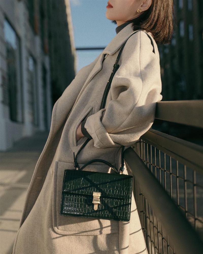 12 con giáp diện túi xách trong năm 2021: Chọn màu hợp tuổi để cả năm tiền tài rủng rỉnh, tình ái thăng hoa-5
