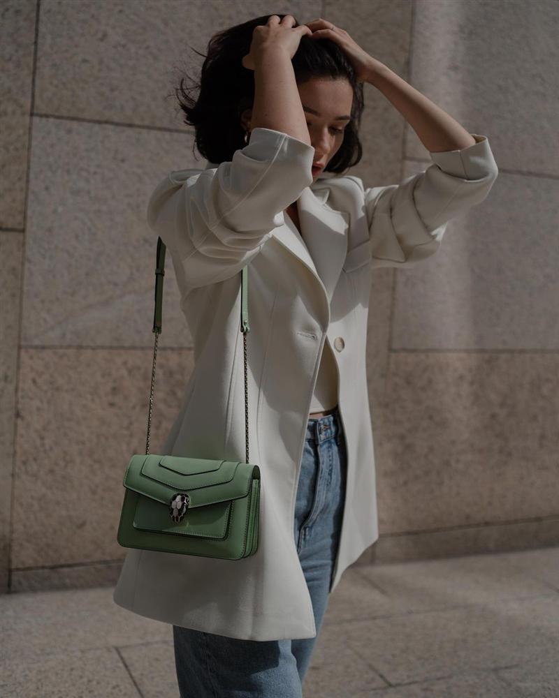 12 con giáp diện túi xách trong năm 2021: Chọn màu hợp tuổi để cả năm tiền tài rủng rỉnh, tình ái thăng hoa-8