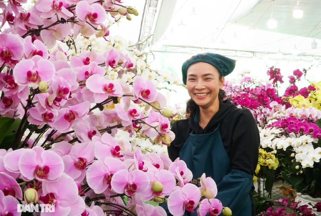 Hoa lan hồ điệp giá trăm triệu tấp nập xuống phố phục vụ đại gia chơi Tết-6
