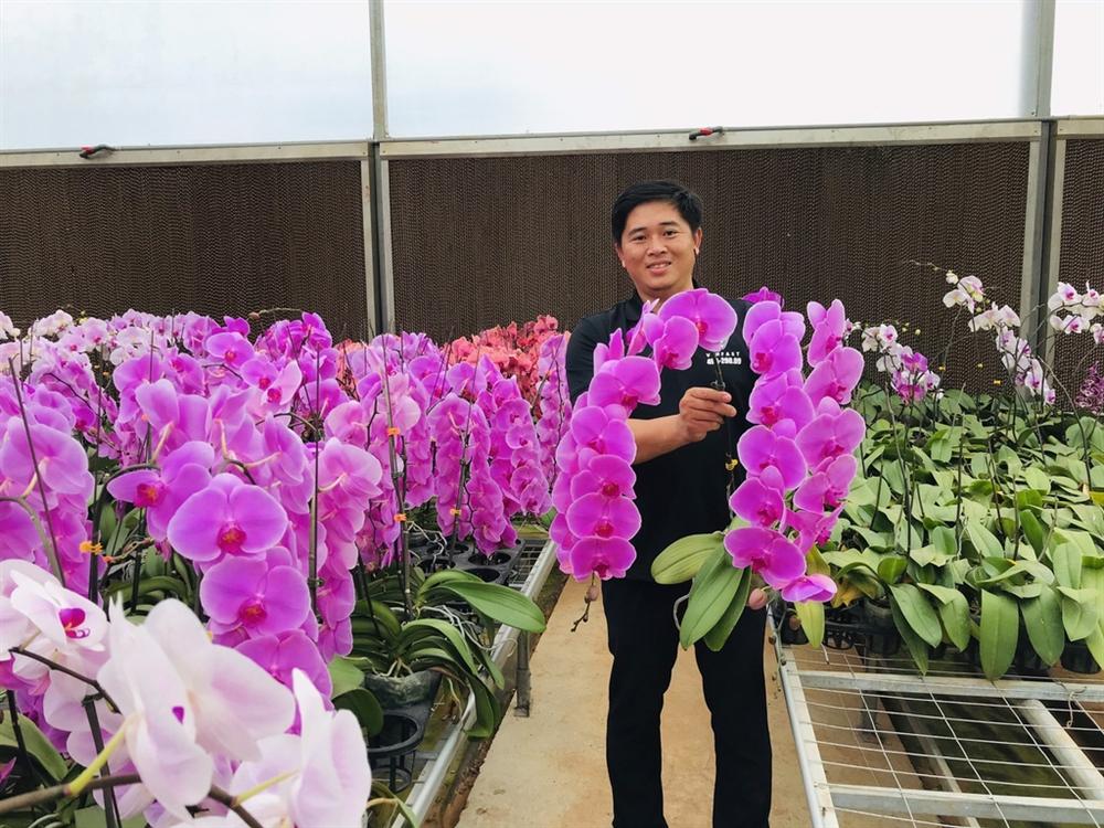 Hoa tươi Trung Quốc lấn át hoa Việt dịp cận Tết-3