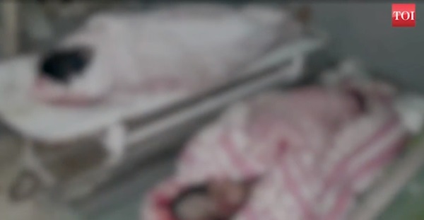 Nghe tiếng hét lớn, hàng xóm chạy sang thì kinh hãi phát hiện cả hai chị em gái bị giết dã man, danh tính kẻ thủ ác gây chấn động-1