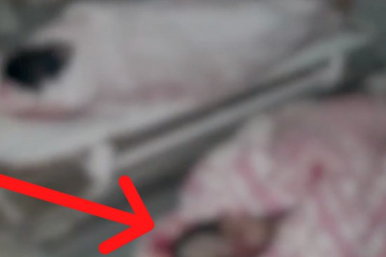 Nghe tiếng hét lớn, hàng xóm chạy sang thì kinh hãi phát hiện cả hai chị em gái bị giết dã man, danh tính kẻ thủ ác gây chấn động