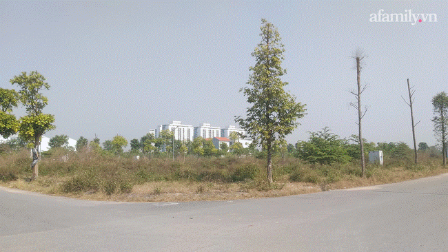 Giáp Tết đến ngắm vịt chạy bộ trong KĐT nghìn tỷ của đại gia điếu cày: Dân khốn khổ vì có đất mà không được xây nhà dù đang phải trả nợ khủng-7