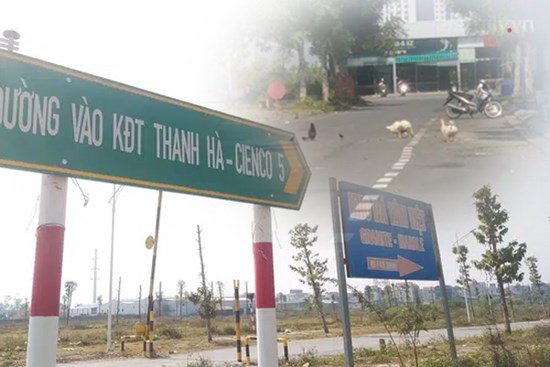 Giáp Tết đến ngắm vịt chạy bộ trong KĐT nghìn tỷ của