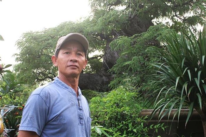 Vì sao cụ me dáng thác đổ mây bay ở TP.HCM mãi ế dù nhiều năm không tăng giá?-2