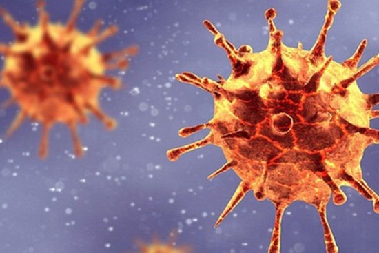 Nữ công nhân Việt Nam nhiễm biến chủng SARS-CoV-2 của Anh