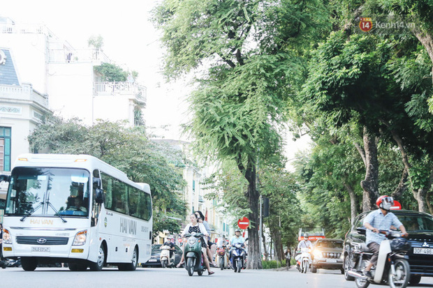 Nóng: Quảng Ninh tạm dừng hoạt động vận tải khách đường bộ, đường thuỷ-1