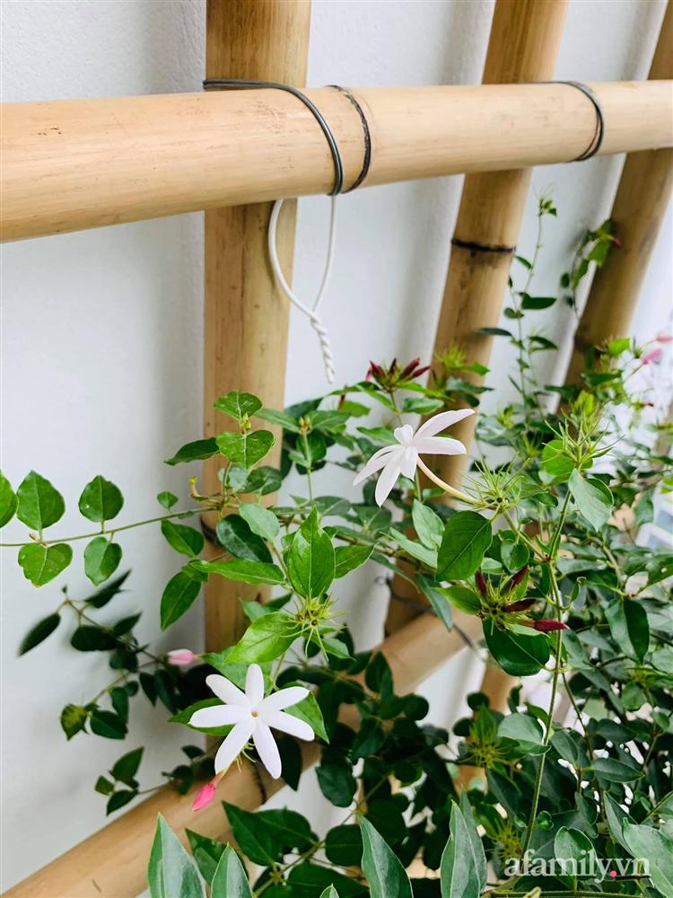 Bí quyết mua nhà ở xã hội gần 2 tỷ đồng của vợ chồng giáo viên dạy tiếng Anh ở Hà Nội-8