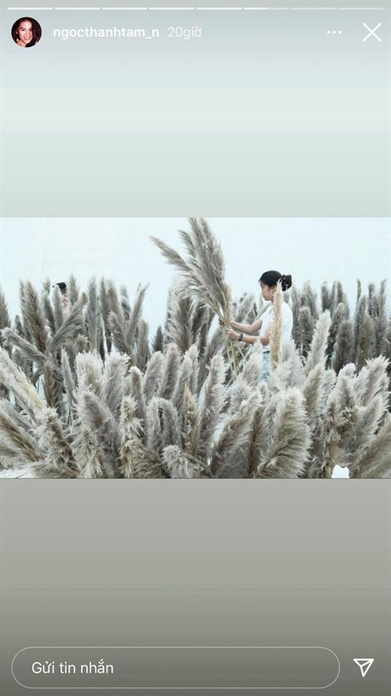 Vợ thiếu gia Phan Thành khẳng định đẳng cấp trước thềm siêu đám cưới: Nguyên team tiểu thư lâu đài trắng, con gái đại gia, Hoa hậu có mặt đủ!-5