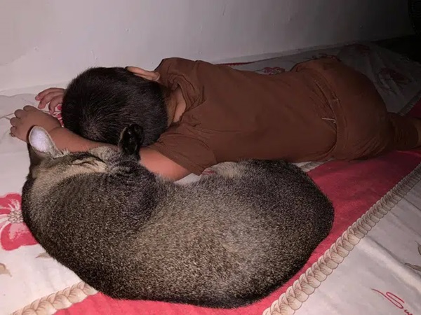 Mẹ chia sẻ ảnh con trai ngủ ngon lành, dân mạng phát hoảng khi thấy chi tiết bất thường cạnh đứa trẻ, không tin nổi vào mắt mình-1