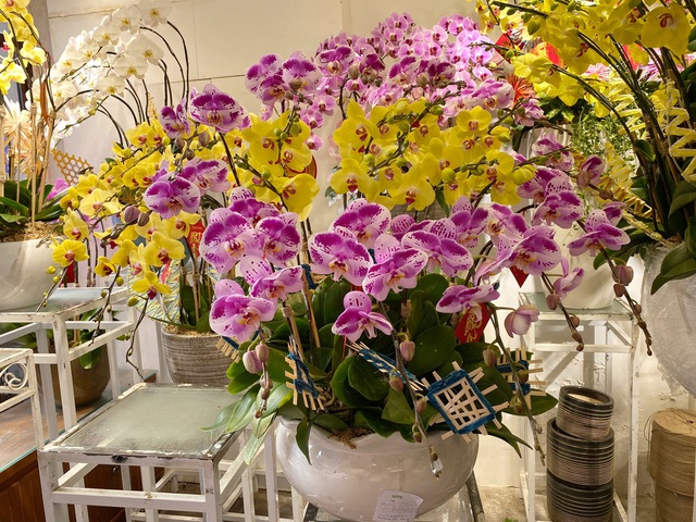 Lan công chúa, hồng sa mạc, nhiều hàng lạ đổ bộ TPHCM chờ Tết-10